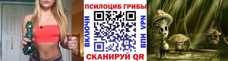 купить наркотик  Нижний Ломов  omg как зайти  Псилоцибиновые грибы MAGIC MUSHROOMS 